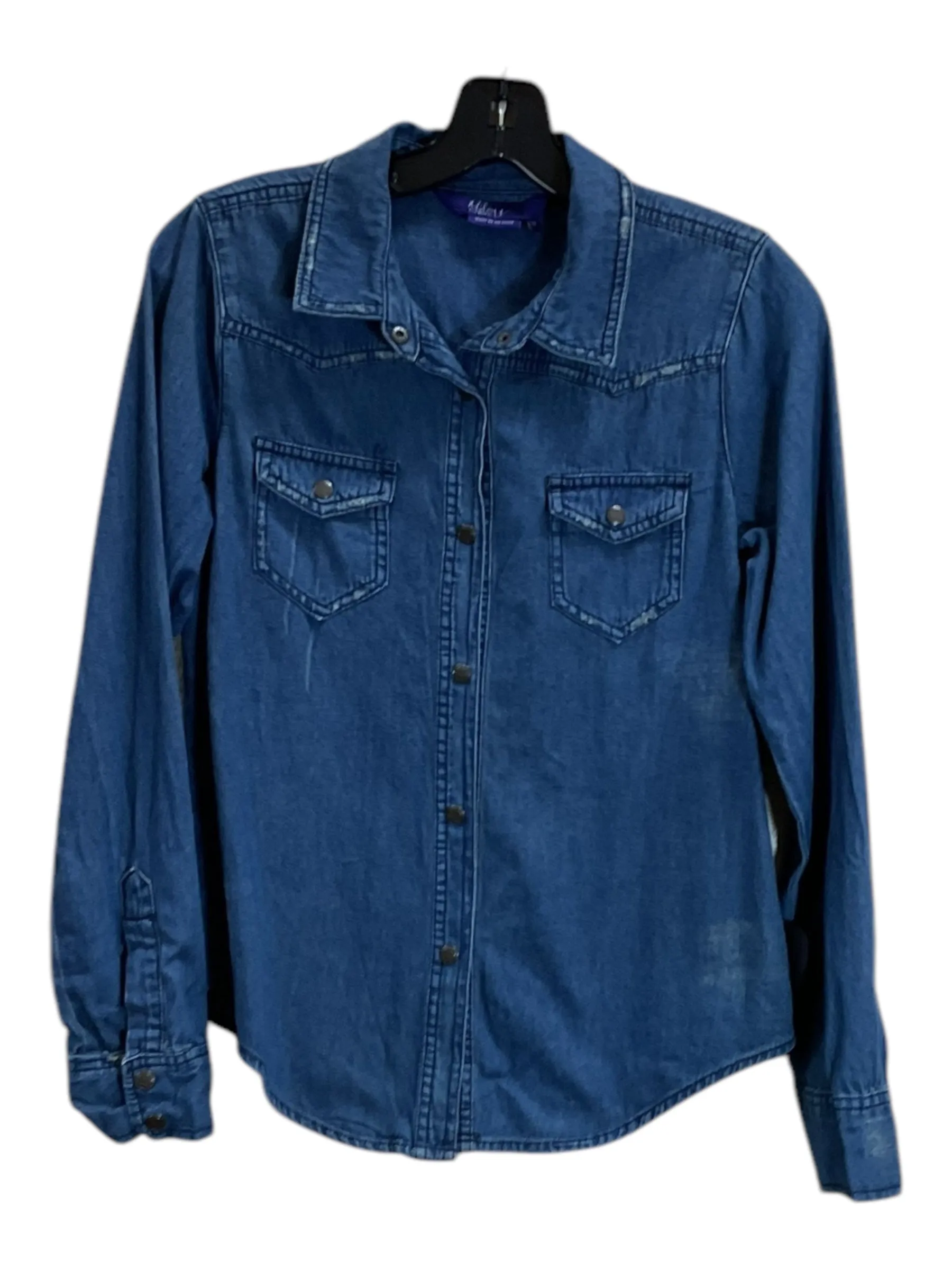 Blouse Long Sleeve By Max Azria In Blue, Size: M