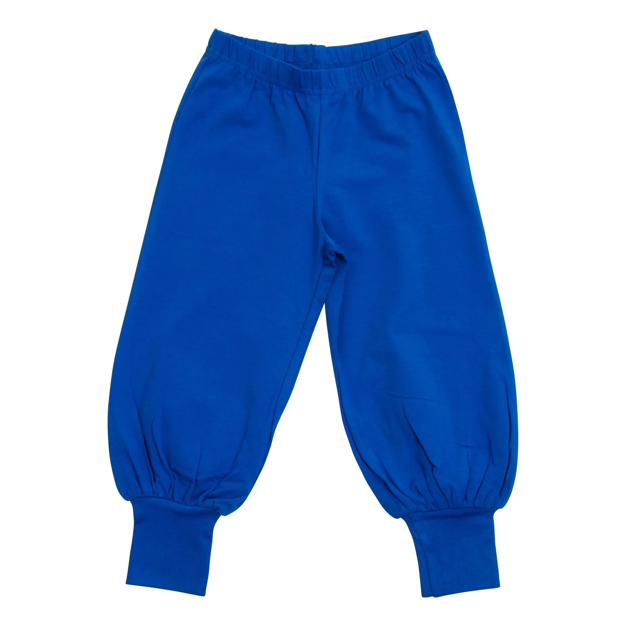 Brilliant Blue Baggy Pants