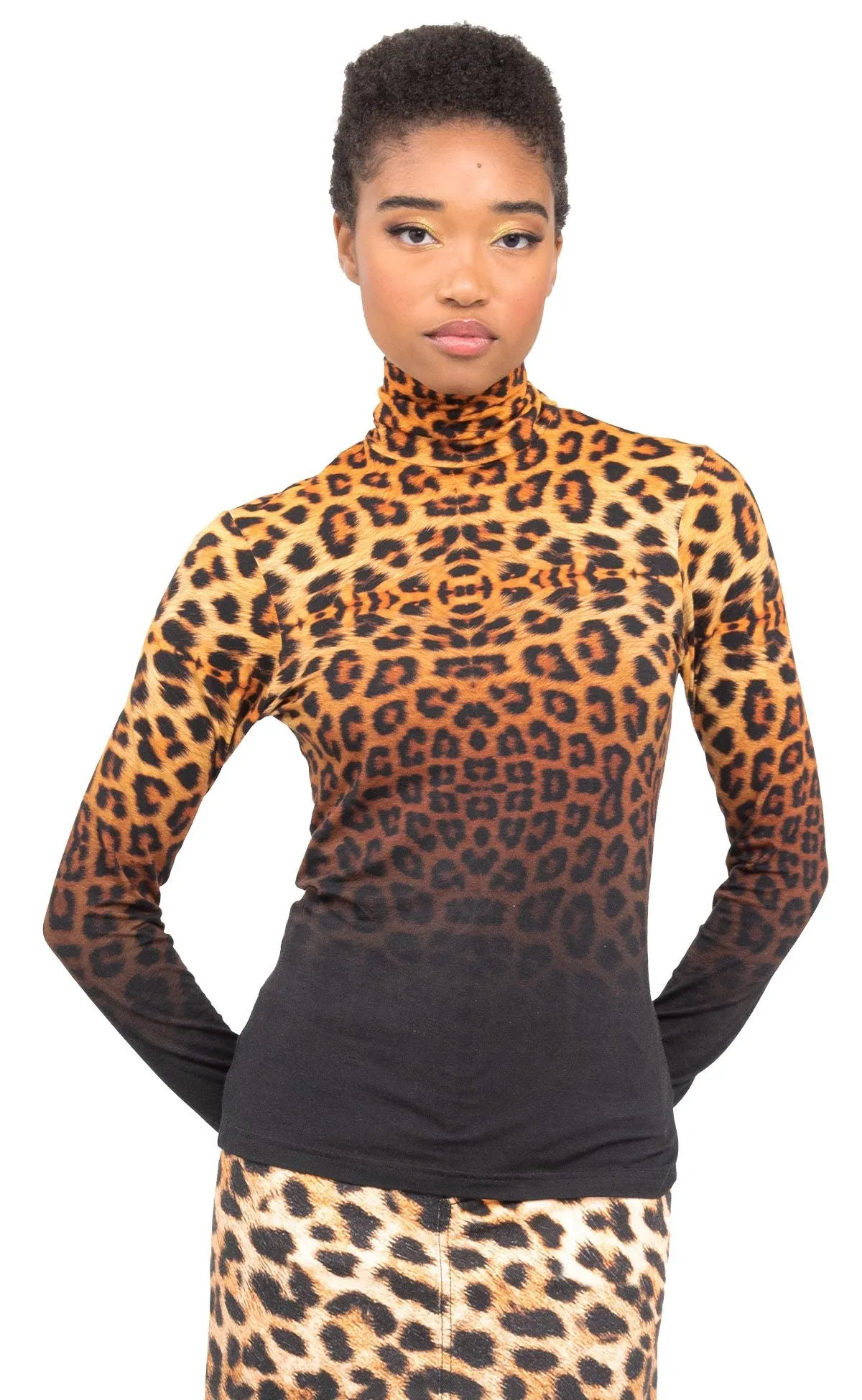 Cheetah Ombre Turtleneck
