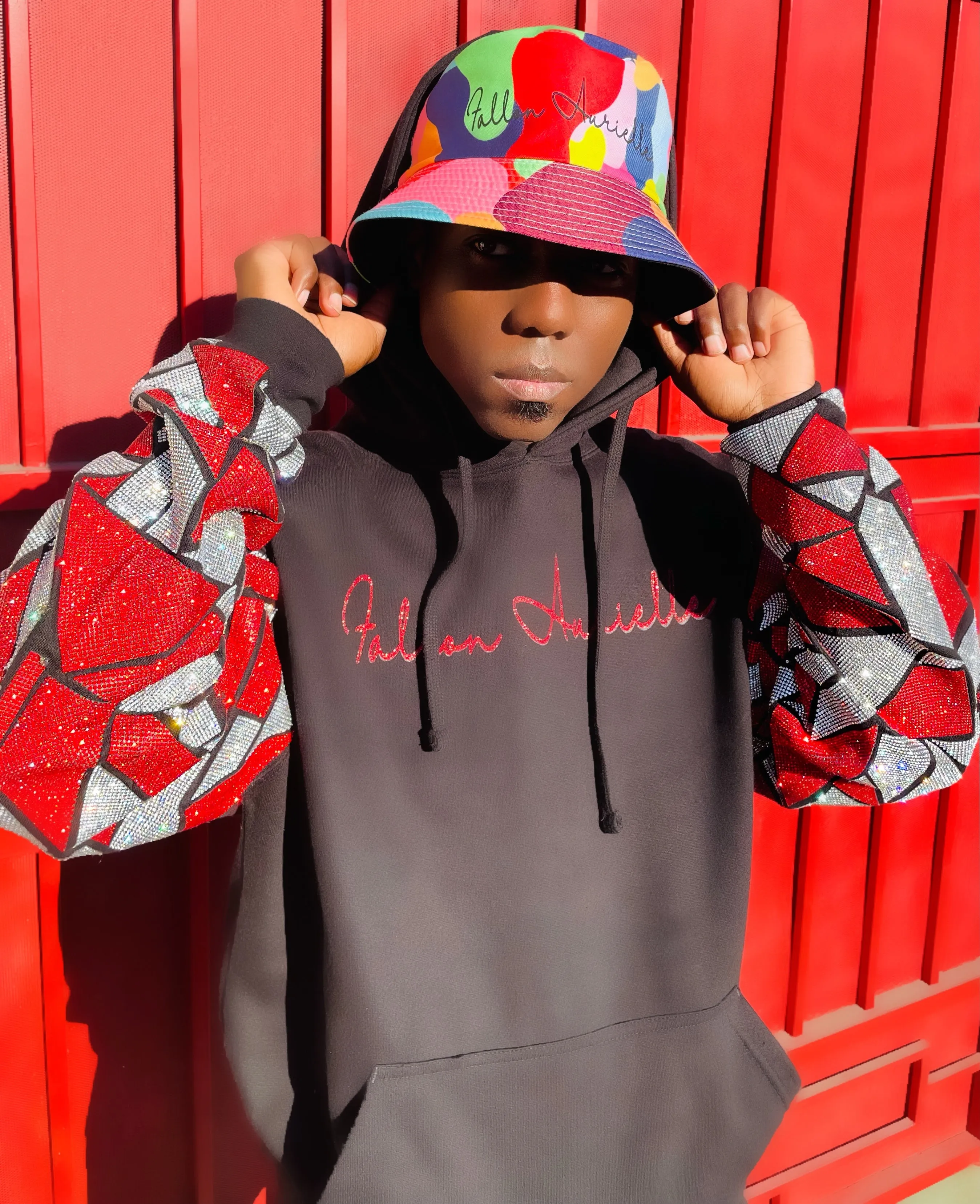 Fallon Aurielle Unisex Signature Celebration Hoodie