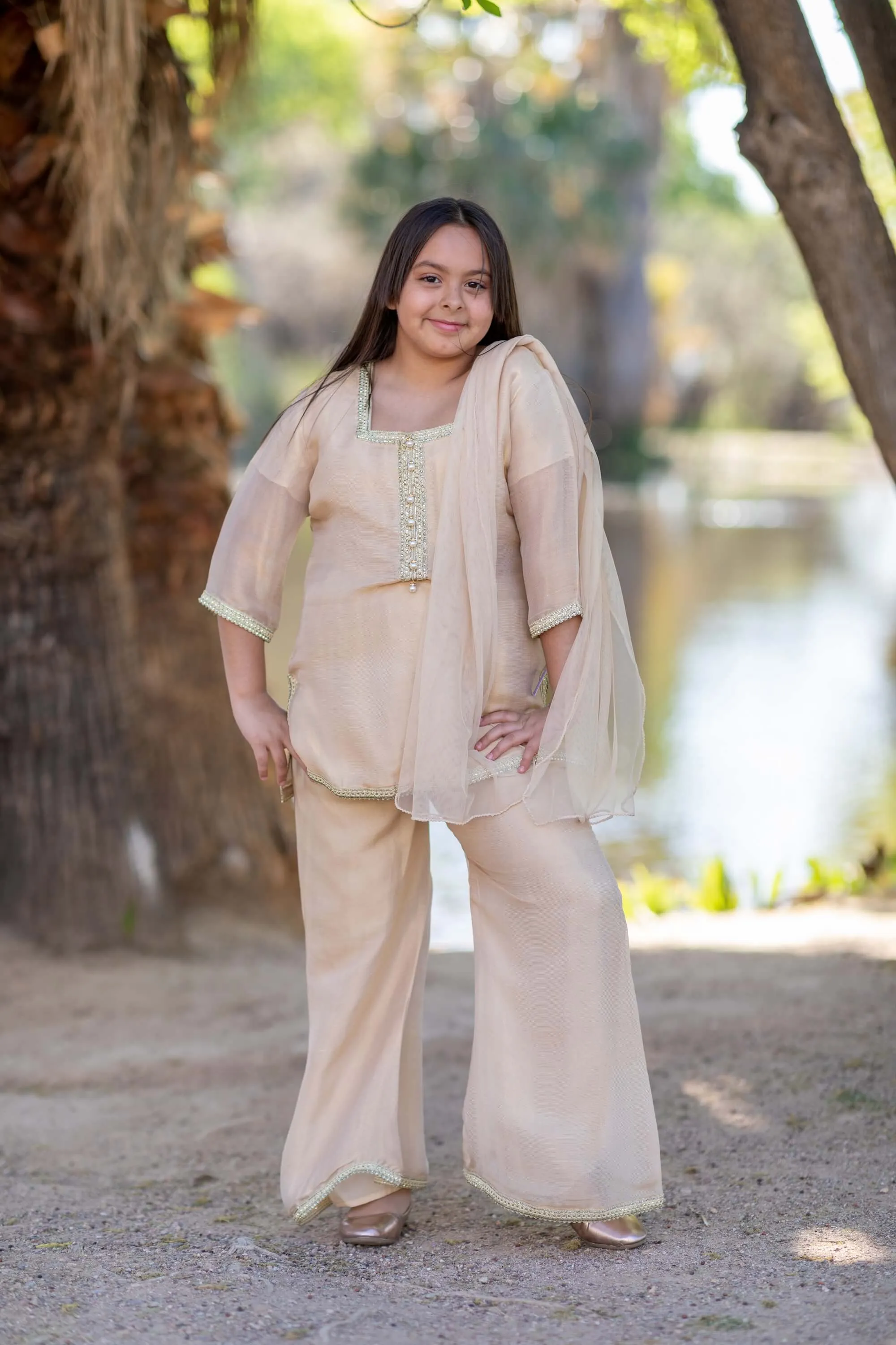 Gold-Beige Net Girls Dress