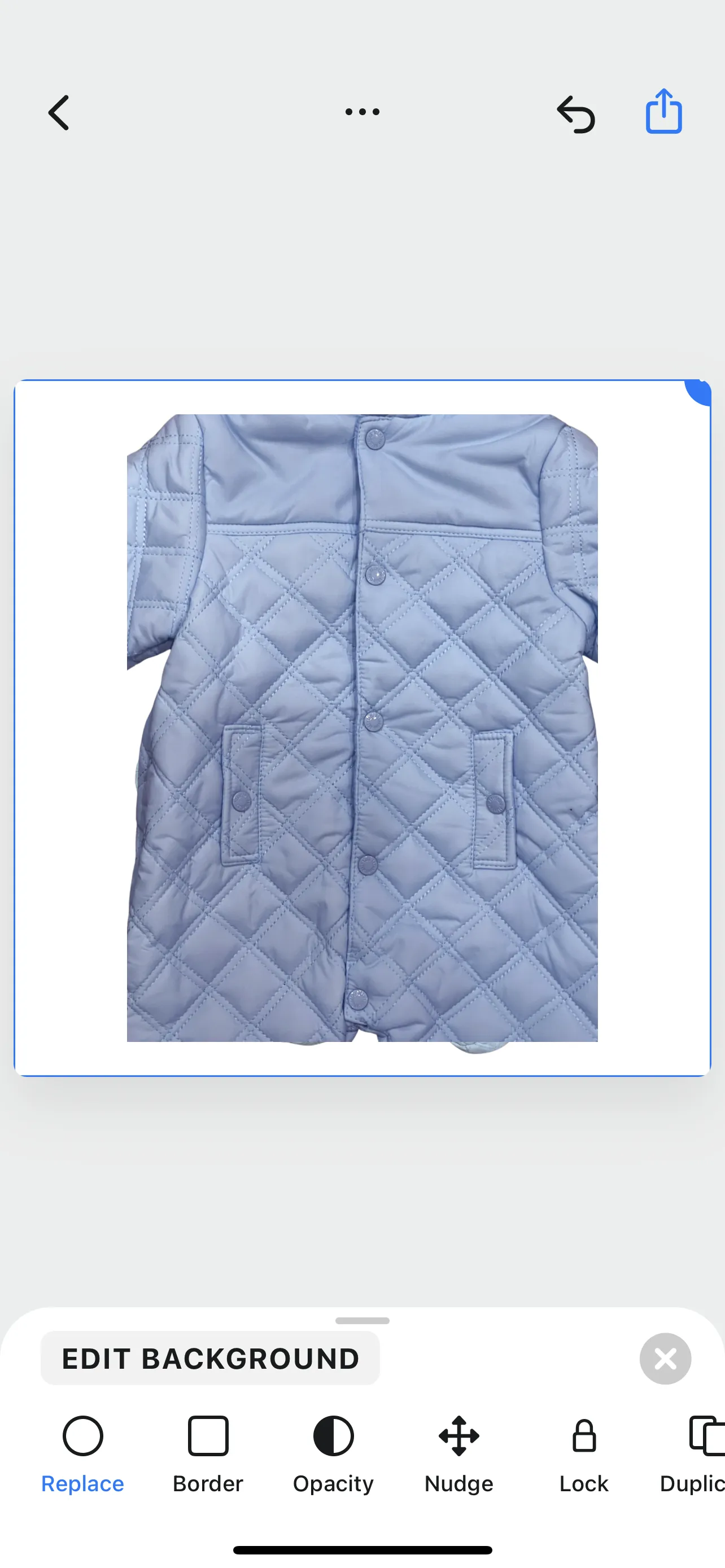 Mintini Baby Boys Snowsuit