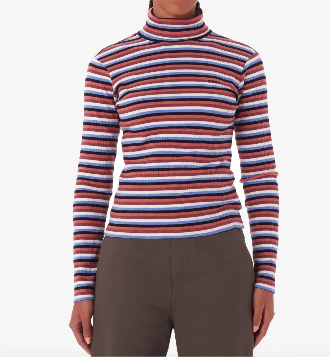 Quince Stripe Turtleneck