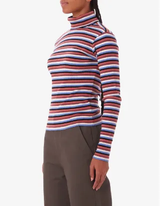 Quince Stripe Turtleneck