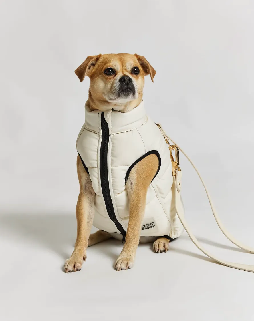 Reversible Dog Puffer Jacket