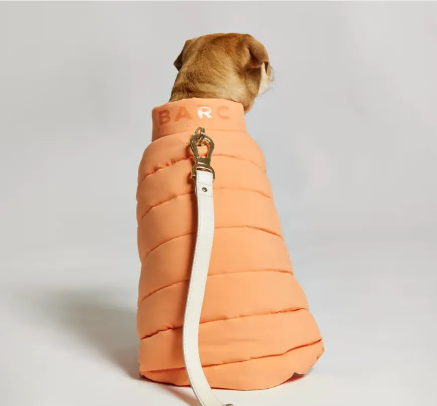 Reversible Dog Puffer Jacket